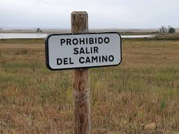 ‘El papel rayado es pauta. La pauta es conducción. O lo que es igual, dejarse llevar. El niño, para ser educado, necesita camino libre. ¿Que con papel sin rayar el niño escribe torcido? Mejor. Dejémosle.’ D’Antoni Benaiges (1935), defensor del respecte del nen i de la llibertat.