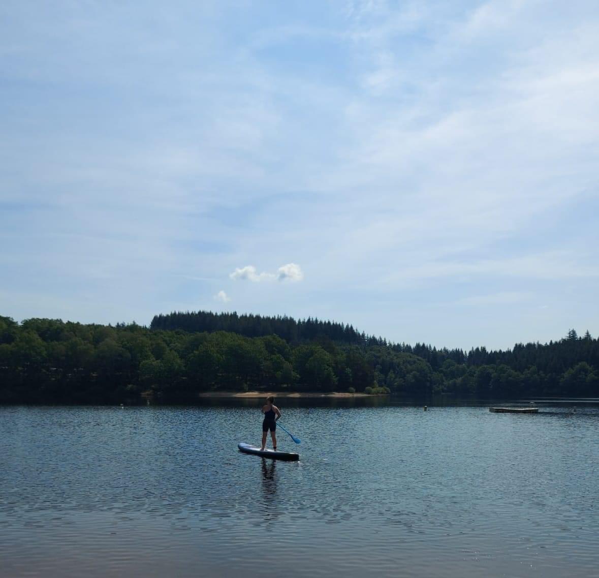 Marie Connell tweet media