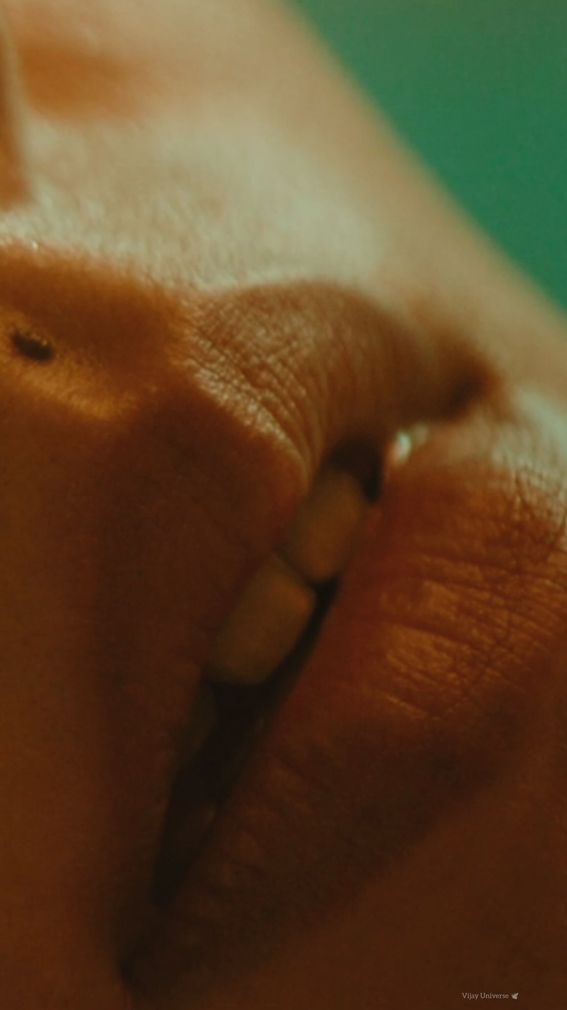 AJAYYER on X: A heaven BJ from her lips🥵💦 Nayanthara ThalapathyVijay  t.coEf6odRRRJA  X