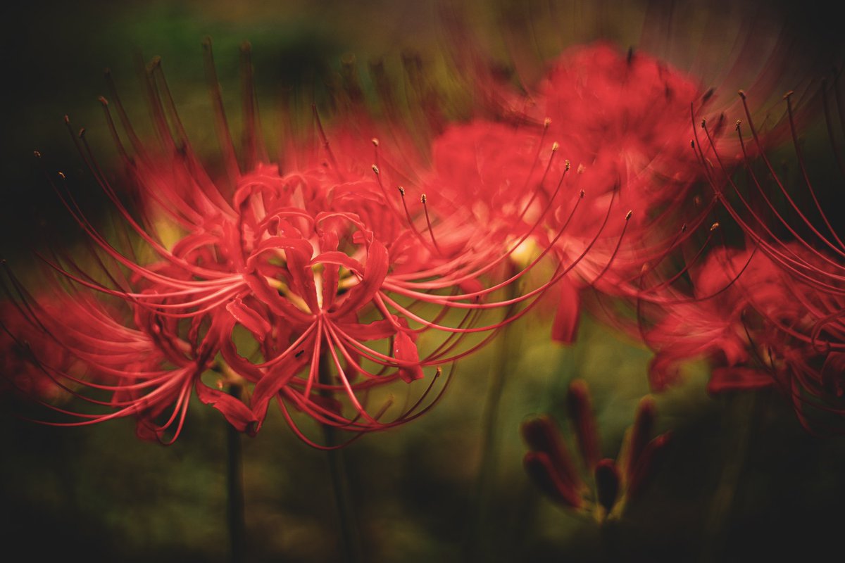 ๐ฐ๐ป๐ผ๐ฐ. tweet media