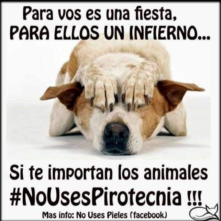 Sé consciente  !
#NoUsesPirotecnia 
#PirotecniaCero
