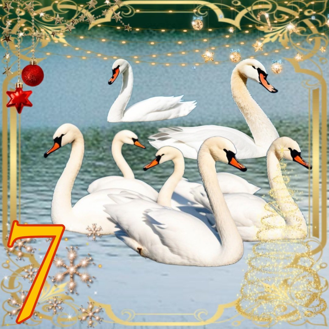 On the Seventh Day of Christmas, My True Love Gave to Me: Seven Swans a-Swimming.  The seven gifts of the Holy Spirit: prophecy, ministry, teaching, exhortation, giving, leading, and compassion. #twelvedaysofchristmas #sevenswansaswimming #12daysofchristmas #eastcoastsanta