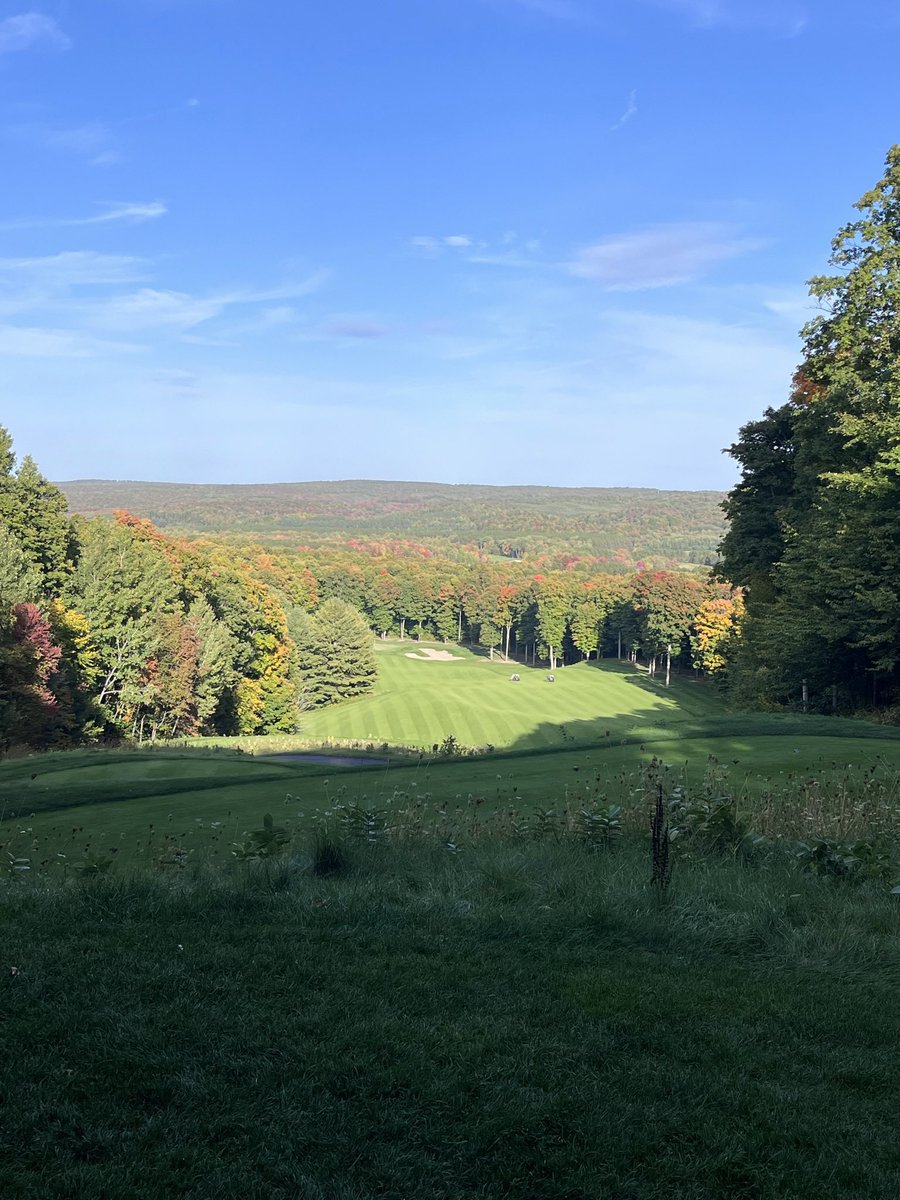 Golfknut2022 tweet media