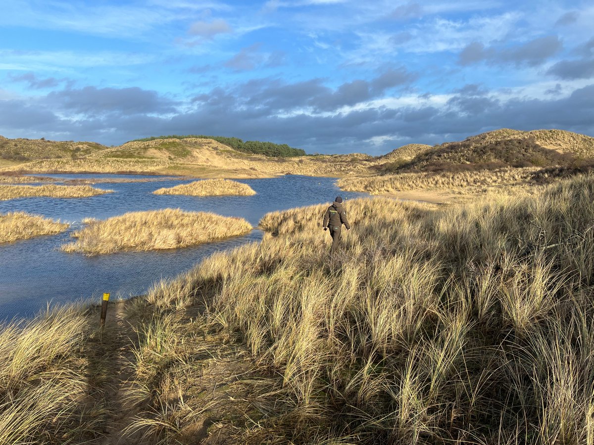 HOOGWATER IN HET DUIN
Er is veel water gevallen. En er gaat nog meer komen. Ook in Kraansvlak betekent dit dat een deel van het pad onder water staat. Je kunt daar langs de rand van het water lopen. Graag daarna weer op het pad. Gelukkig nieuwjaar!
#hoogwater #respectvoordenatuur