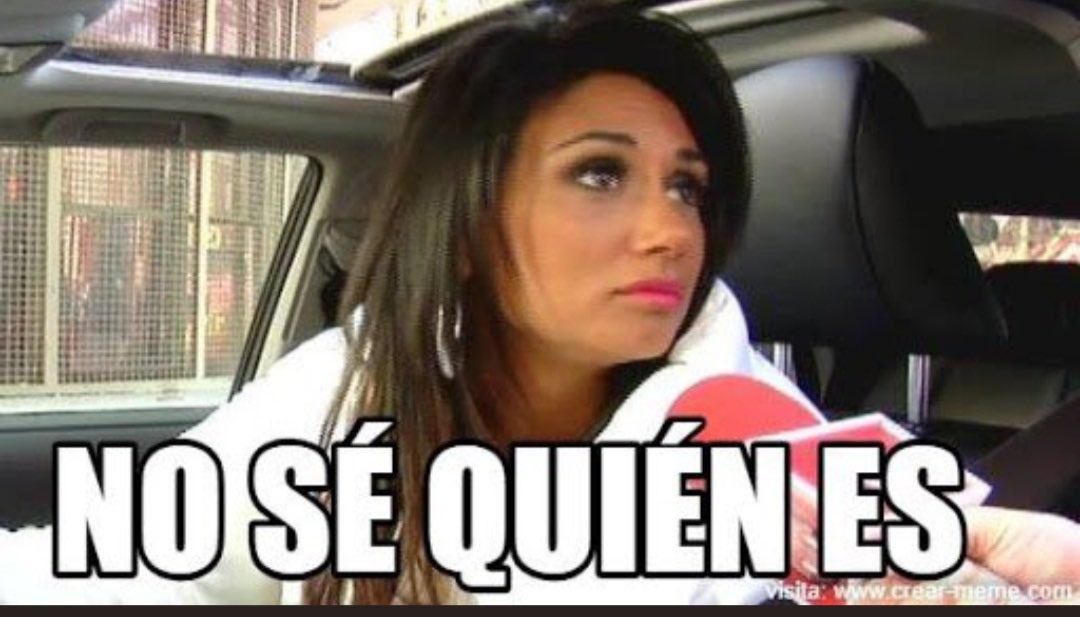 Syl 🐶🐱 tweet media