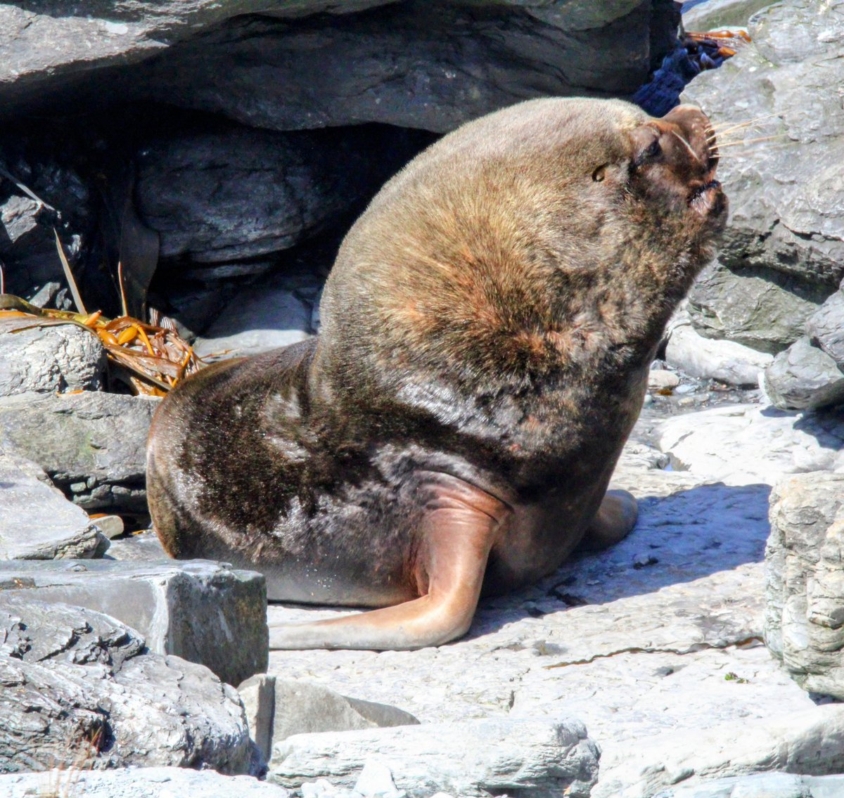 Becky Clark tweet media