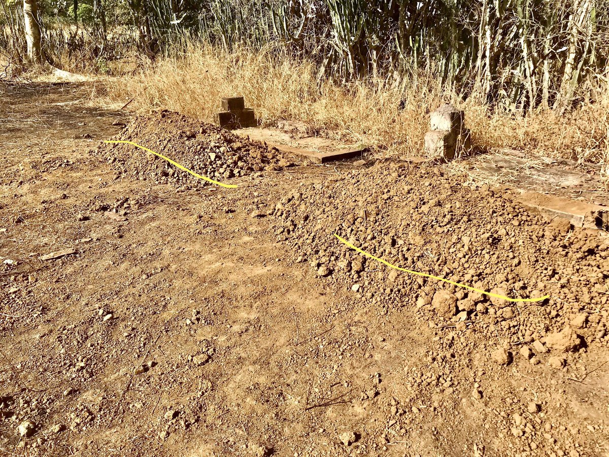 Victor BaLa Itse tweet media