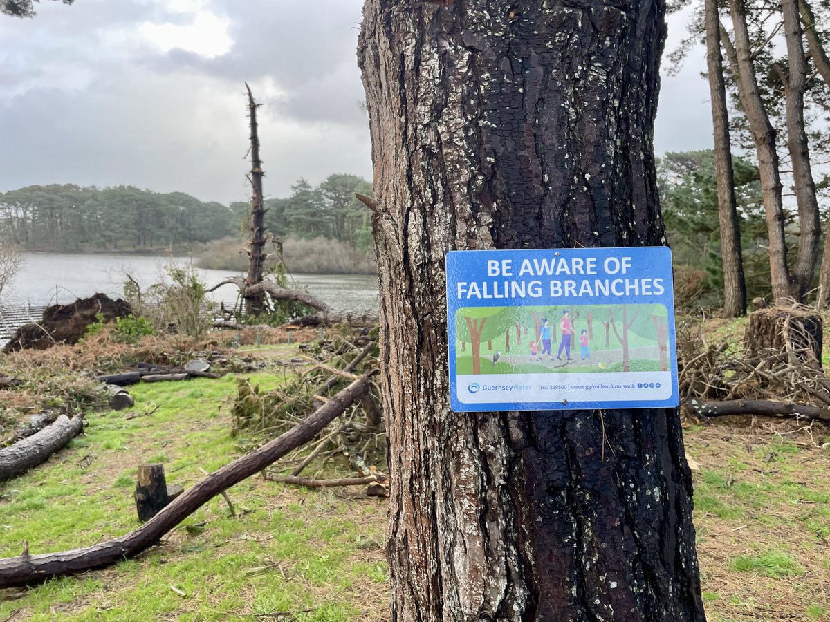 Understated sign of the year.