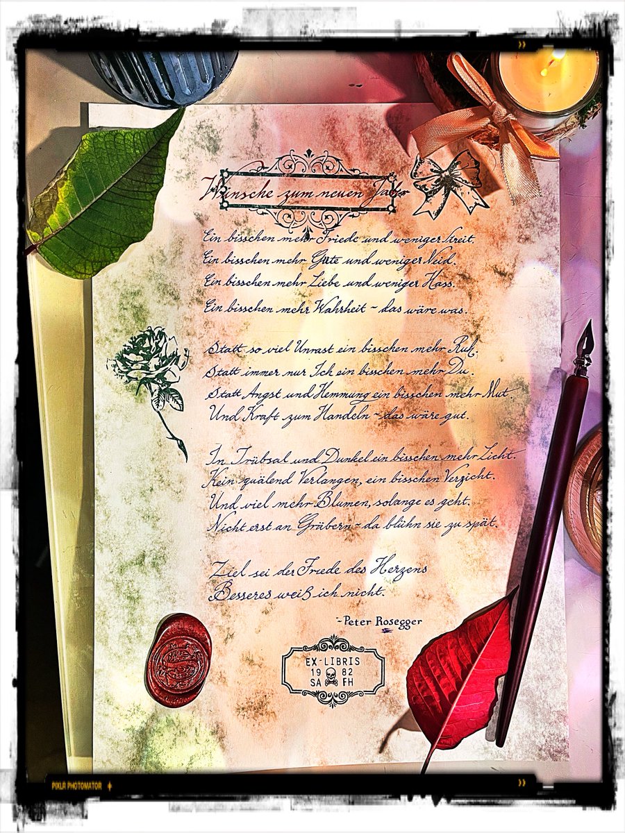 doktorfausto2's tweet image. 