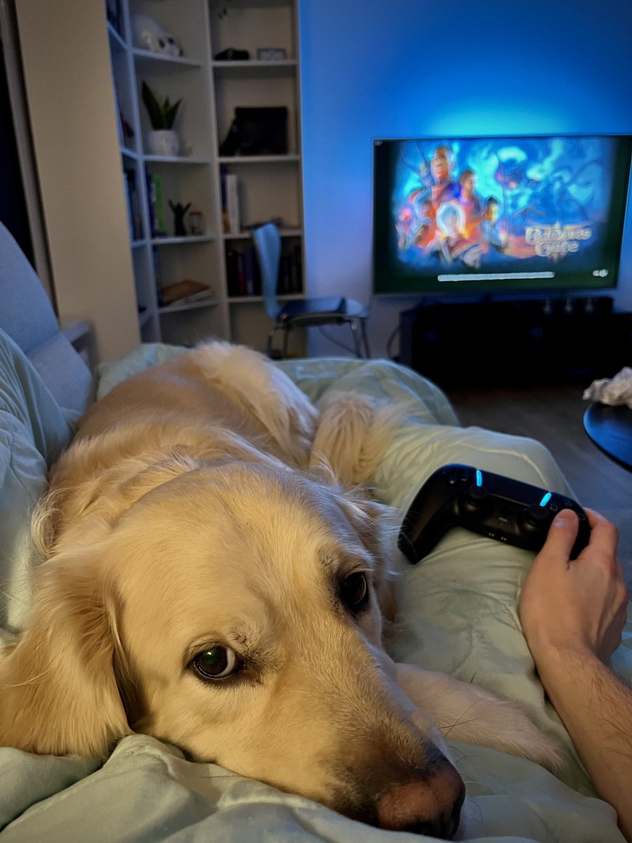 Happy New Year friends 🎆♥️

Hope that 2024 will bring a lot of good for you all.

What better way to end the year by playing the GOTY ✨ (while taking care of a terrified pup)