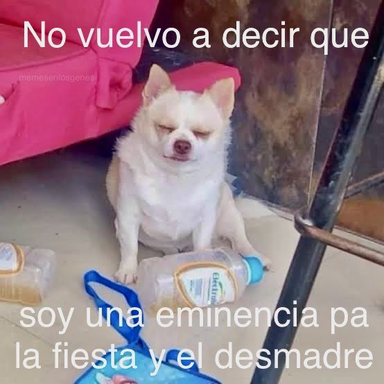memesenlosgenes's tweet photo. https://t.co/J8erqAesP5