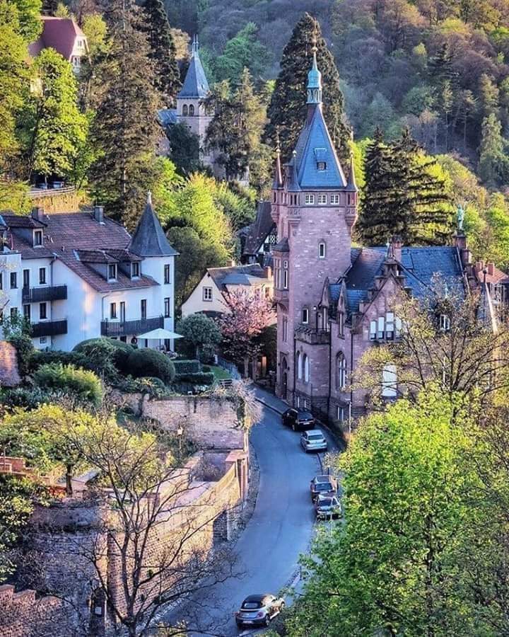 💙Heidelberg 🩵Germany