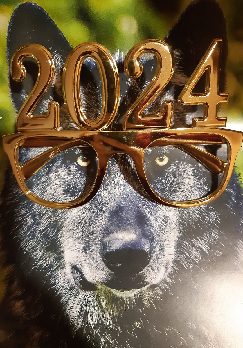 Por un 2024 con más lobos y menos caperucitas #lobovivo #loboprotegido Bon Any Nou Feliz Año Nuevo Happy New Year