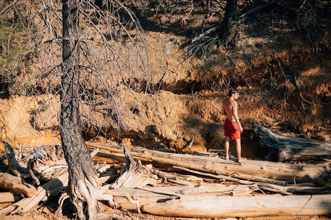 Louis Tomlinson Media tweet media