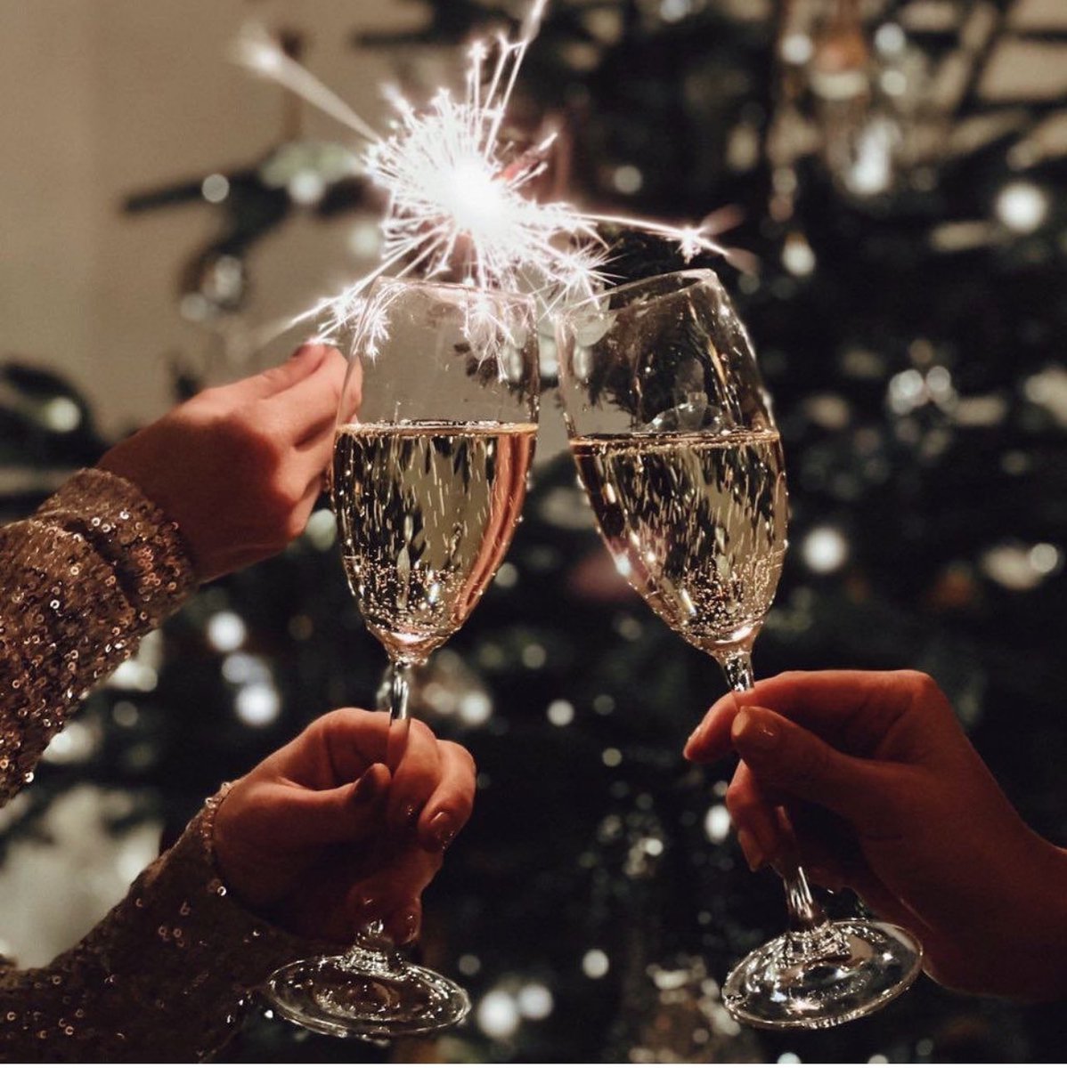 EuniceWinery's tweet photo. 🎄✨🍷✨🎄 #HappyNewYear #HappyHolidays🇱🇾 🕎#PurposeWine #eunicechiweshegoldsteinwinery #success #winery #winelover #entrepreneur 
#happyholidays #photooftheday  #eunicechiweshegoldsteinwinery #firstblackfemalewineryowneroregon #firstblackfemalewinemakeroregon https://t.co/0ycx09589V