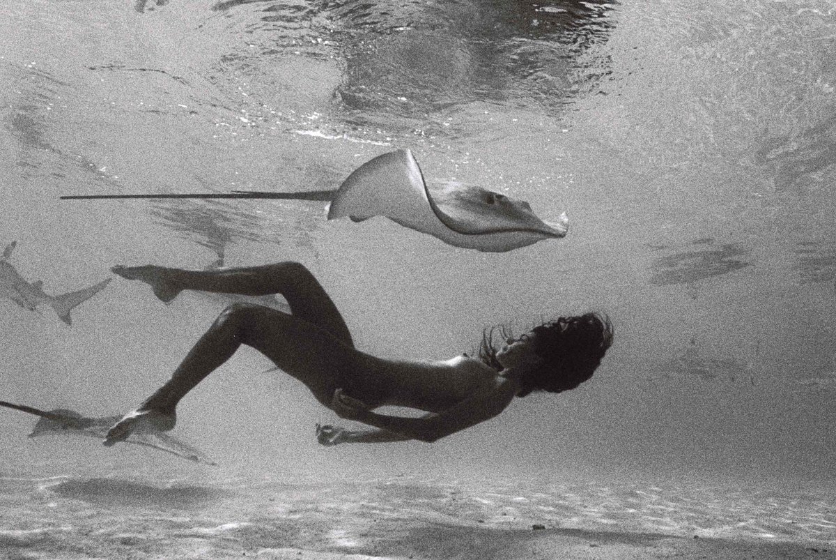 megbatphoto tweet media