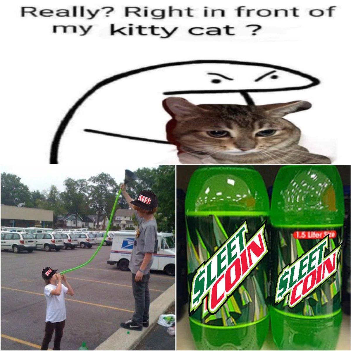 v3lv3tdrag0n's tweet image. $leet coiners are seriously deranged