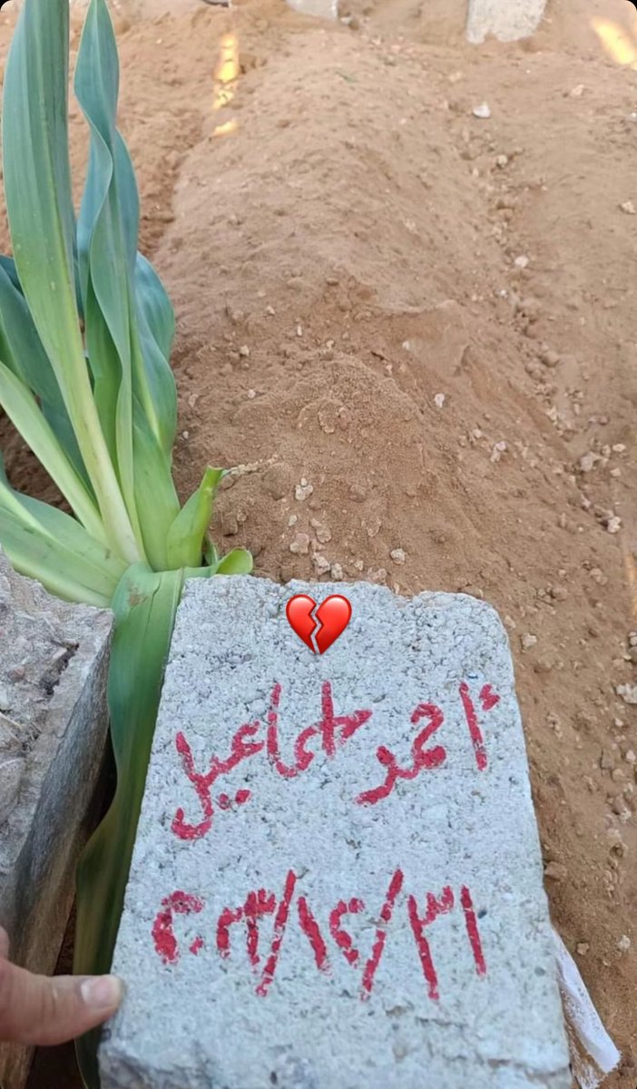 Ahmed Ismail
31/12/2013💔