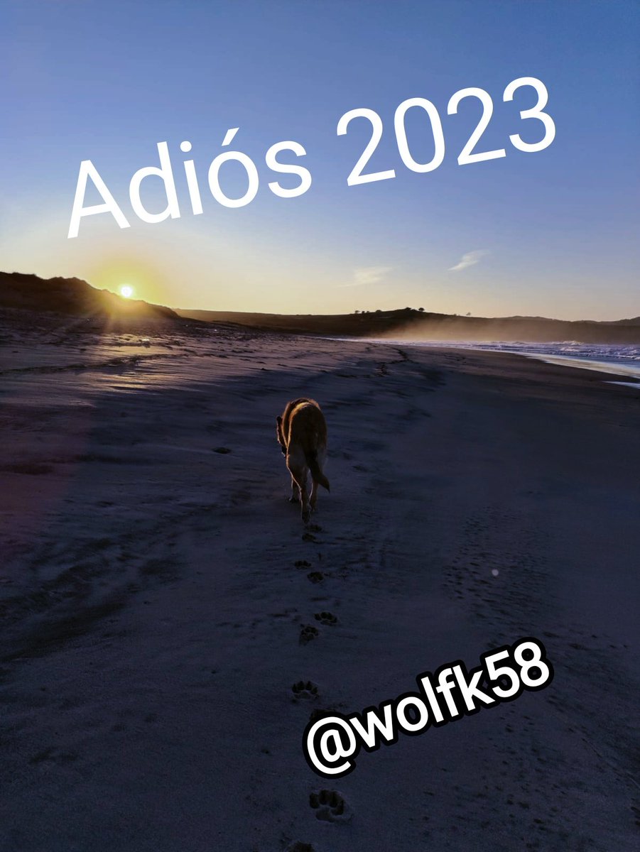 Wolf_k58's tweet photo. Bye Bye https://t.co/bAifZ1iOp9