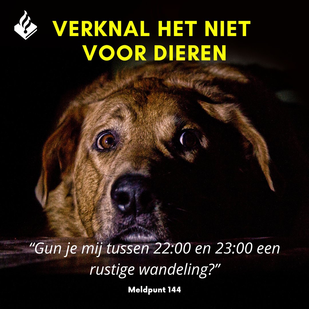 Meldpunt 144 tweet media