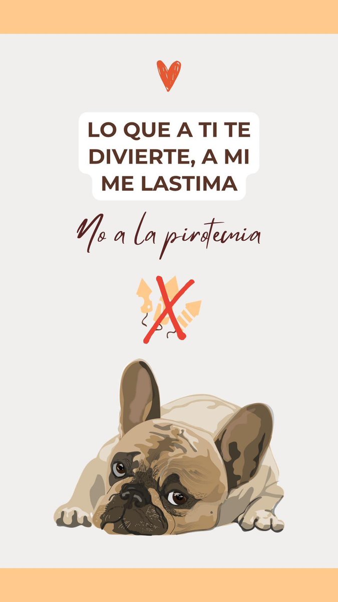 🚫No a la pirotecnia 🚫✋🏻