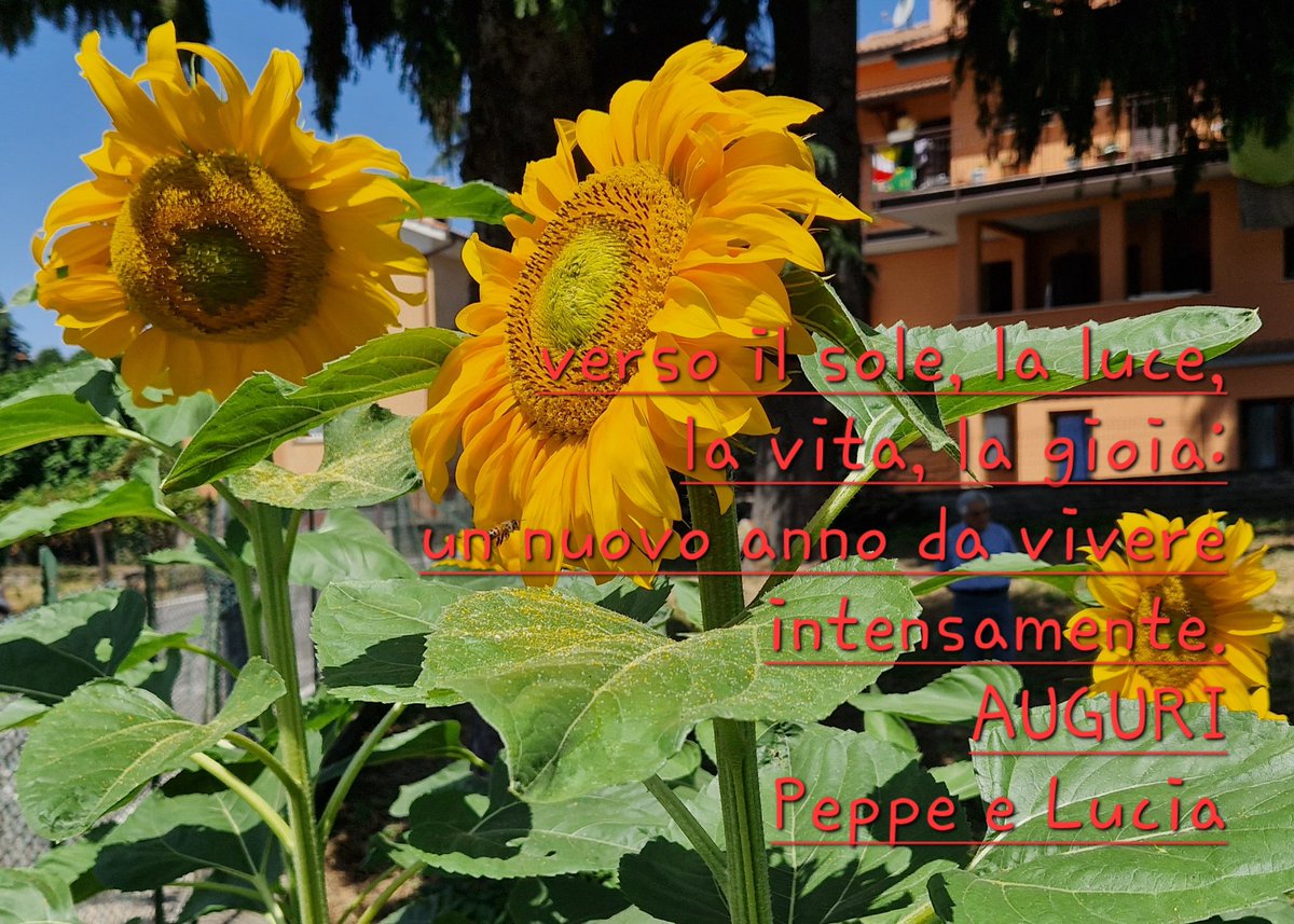 Auguri di cuore per il nuovo anno 2024.