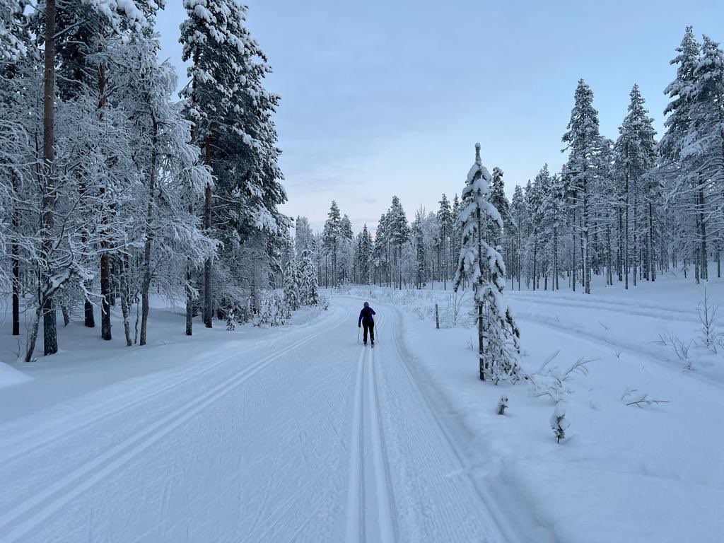 MarjoNuoli's tweet photo. @HeidiKajan Kiitos ja samoin sinne, loistavaa vuotta 2024. 
Hiihdetty on täälläkin, tosin ilman ☀️
#yllas https://t.co/FOuz7dh8O9