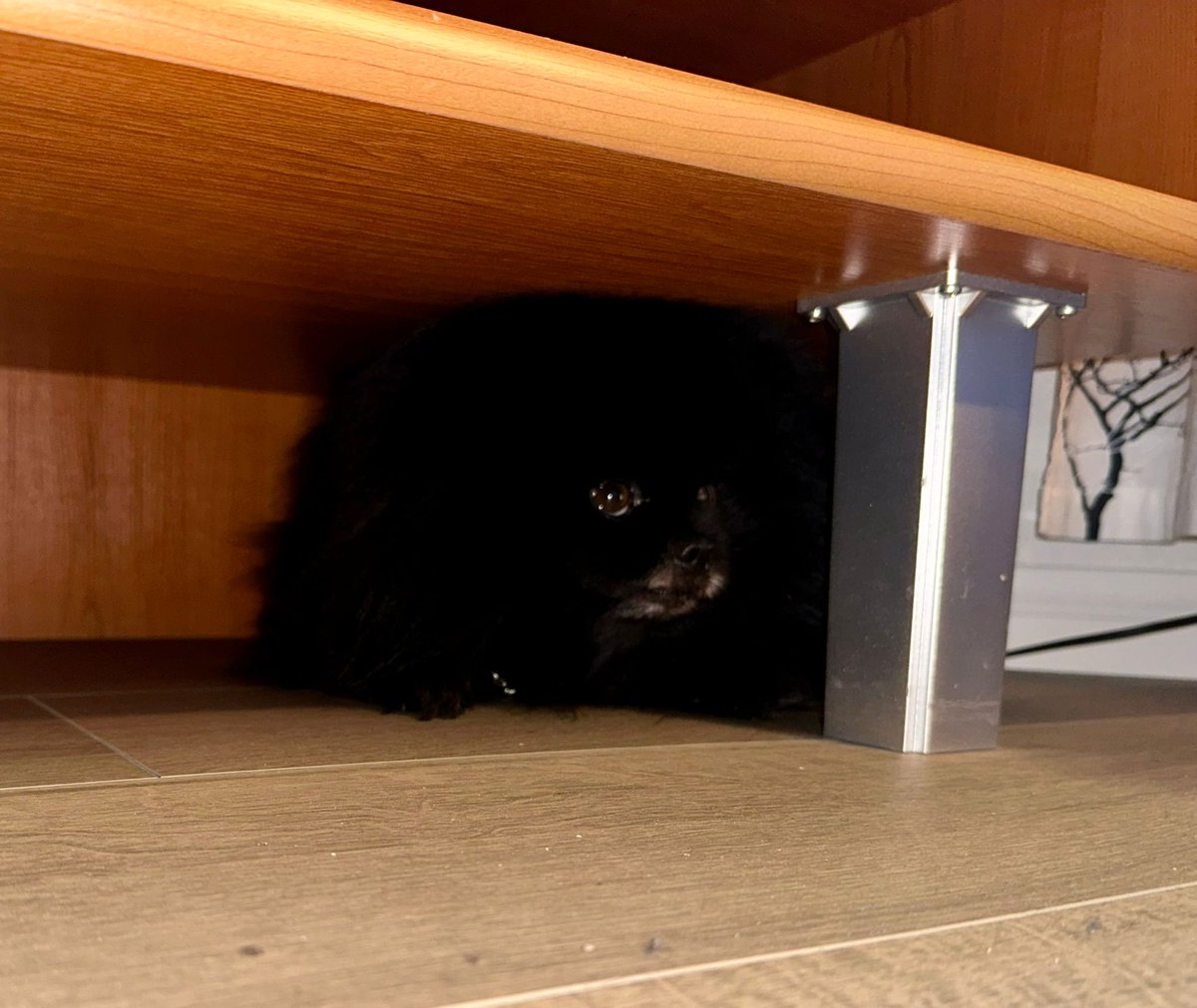 Jasmin Pärkkä tweet media