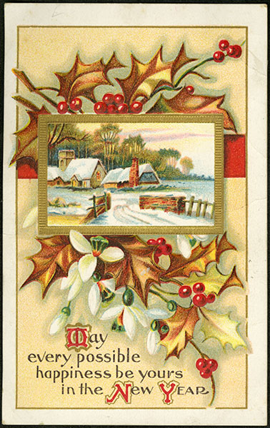 "May every possible happiness be yours in the New Year!"

📸 VA 166-245, ca. early 1900s