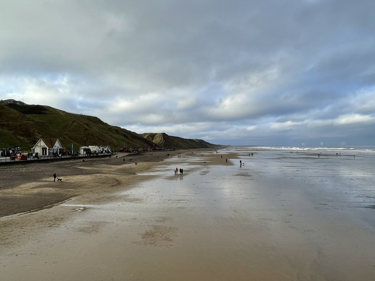 Perfect beach walk to end the year.  Happy New Year. May 2024 be a happy and healthy one