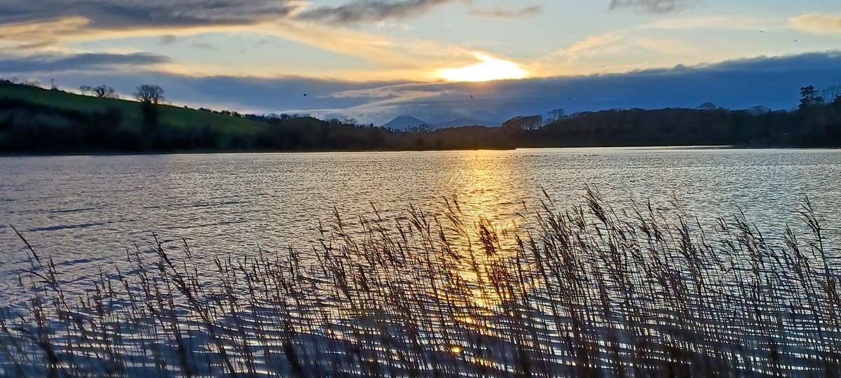 PatrickJMB's tweet image. Now, Slieve Donard and Slieve Commedagh are visible
@Mournelive
Taken from the #Quoile Pondage
#SettingSun