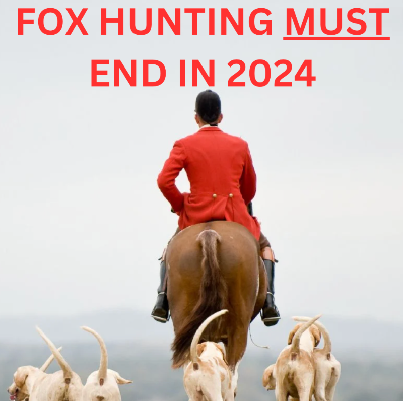 Our message is simple.

RT and follow <a href="/ProtectTheWild_/">Protect the Wild</a> if you agree!