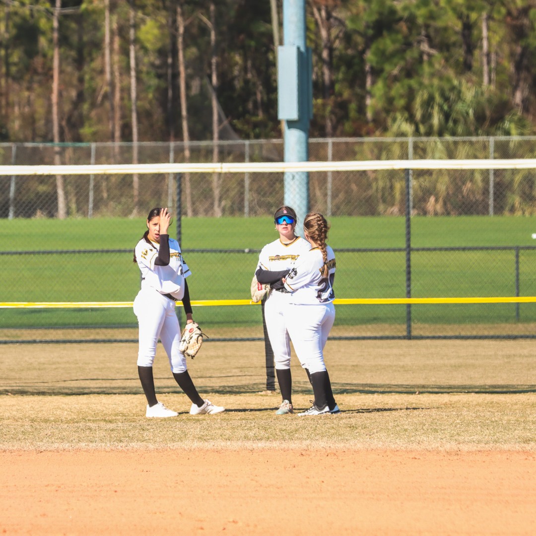 GameDayUSA Softball tweet media