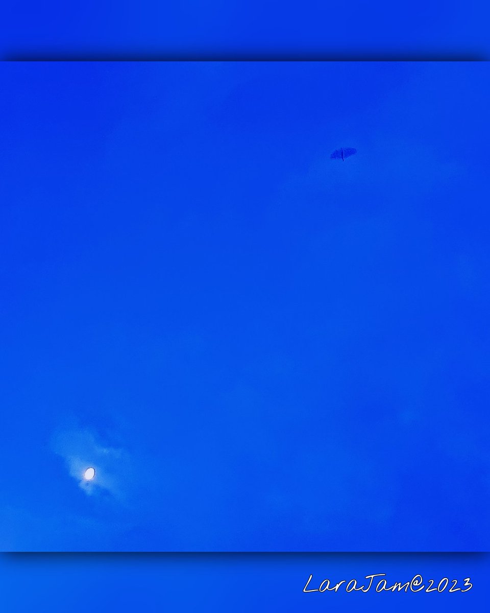 LarajamTosca's tweet photo. Digital photography with Samsung A33.
Edited with Picsart.
#fotografia #photography #foto #photo #picoftheday #photooftheday #artwork #photograph #art #picture #davidsylvian #december31th #artist #digitalart #ArtistOnX #ArtistOnTwitter #moon #artoftheday #silvermoon https://t.co/TirnnSyd1a