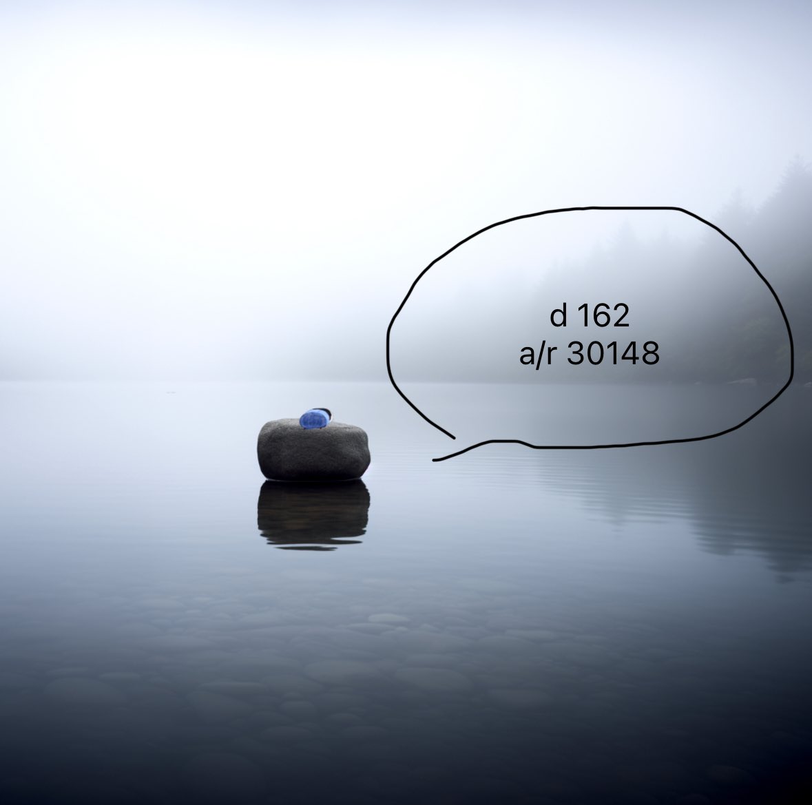 森江🌳東7I28a tweet media