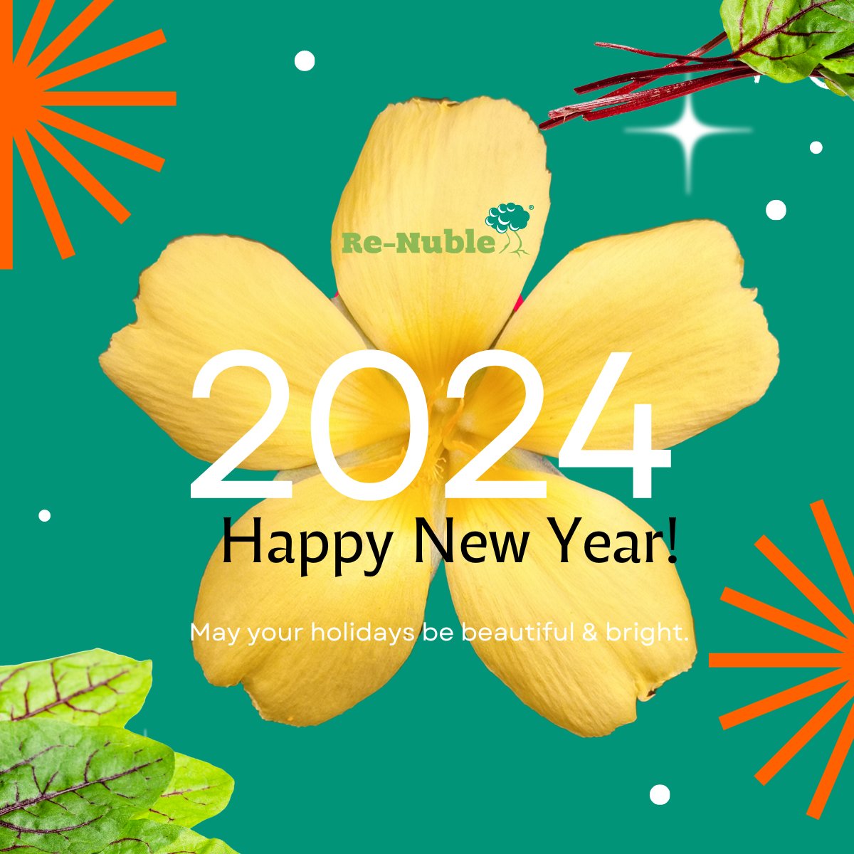 We hope you had an amazing 2023! We sure did, thanks to all of you over the past year, our customers, partners, and friends. Here’s to an equally great 2024!