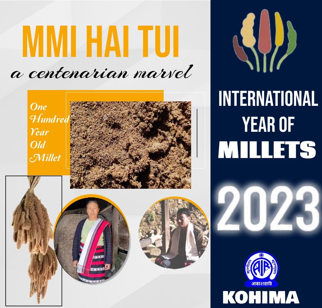 airkohima2's tweet image. To commemorate the #internationalyearofmillets, a Documentary Mmi Hai Tui: *A Centenarian Marvel* was broadcast @ 7.30pm today the #31stDec #AkashvaniAIR #Kohima #Nagaland.