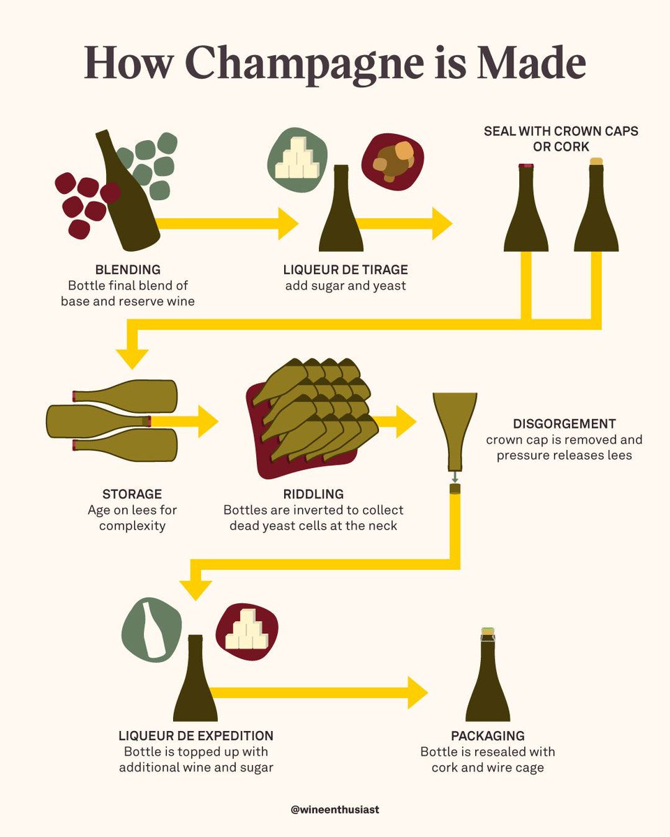 WineEnthusiast's tweet image. Champagne is more than just fancy sparkling wine. 🥂 Learn all about it here 👉️ enth.to/3GNBltr