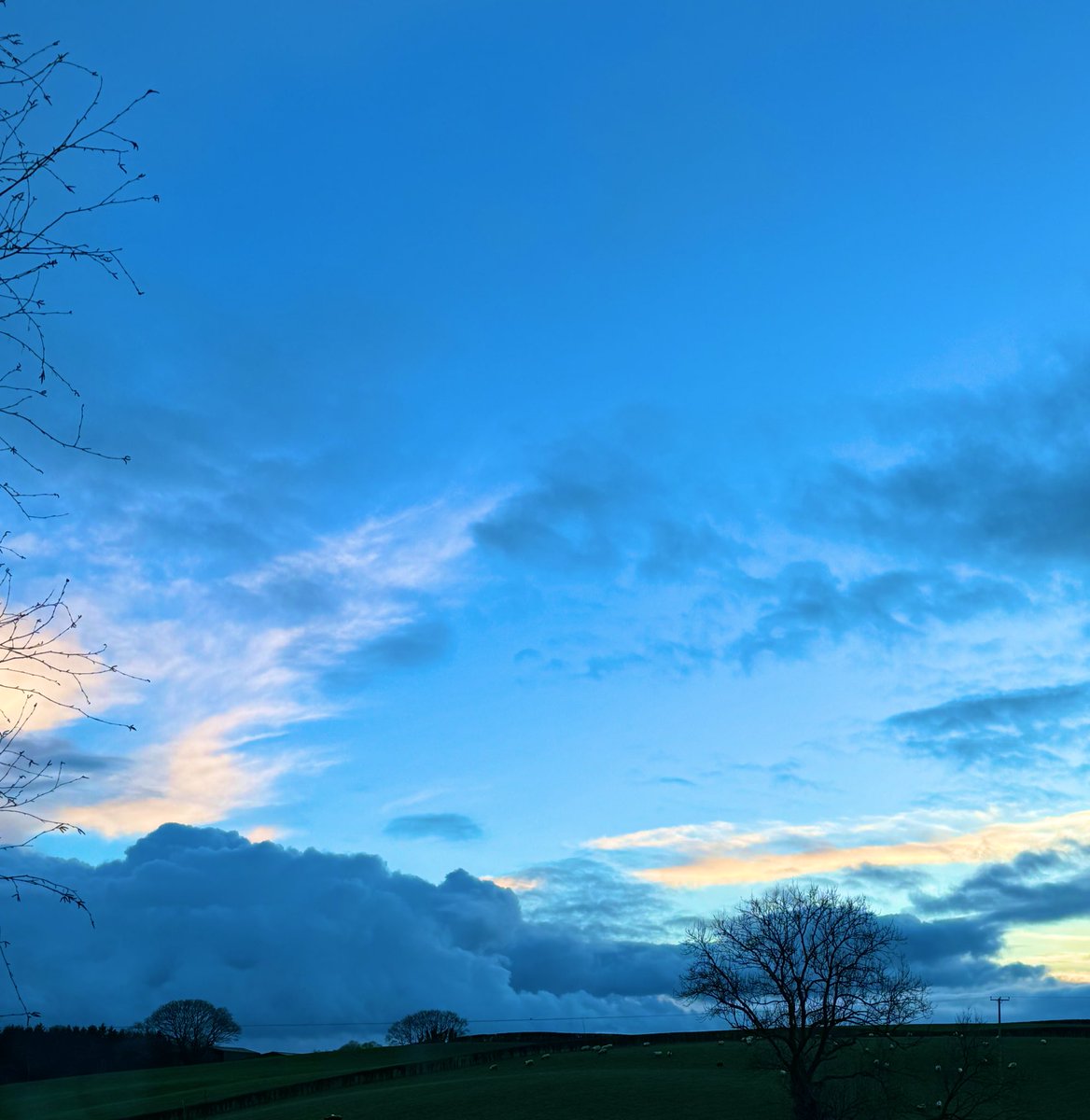 Eamonn McCrystal tweet media