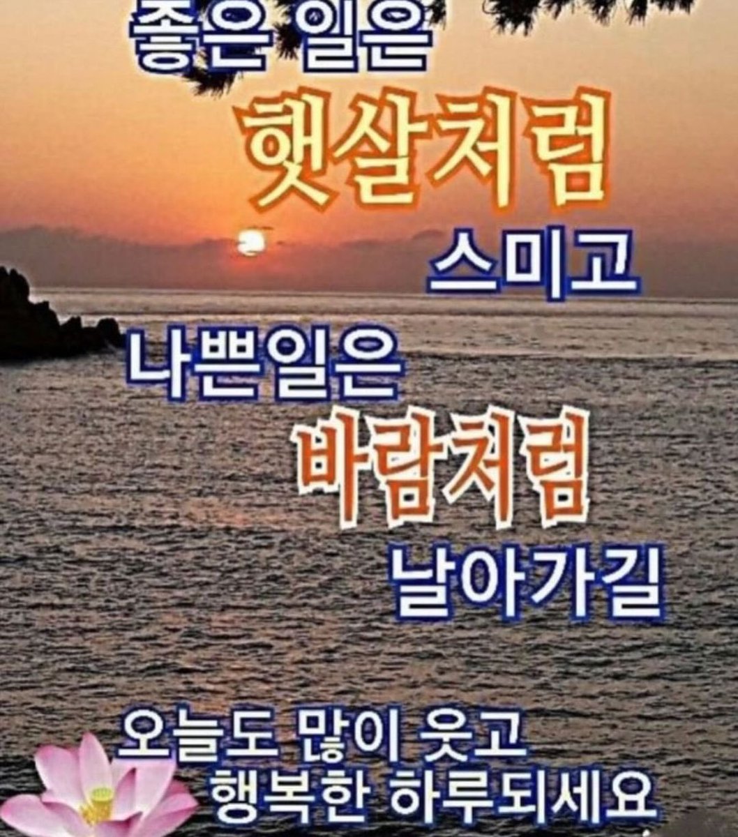 infoaespabr's tweet photo. A TIA DO ZAP! NINGNING via Instagram. 

“Espero que coisas boas nasçam como o sol e coisas ruins voem como o vento. Sorria bastante e tenha um dia feliz hoje.”

#aespa #에스파 @aespa_official https://t.co/0a7pbSVQrI