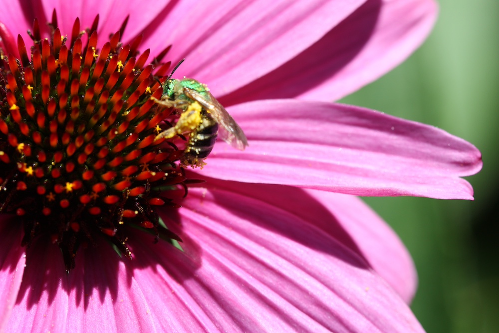 Ground Magazine tweet media