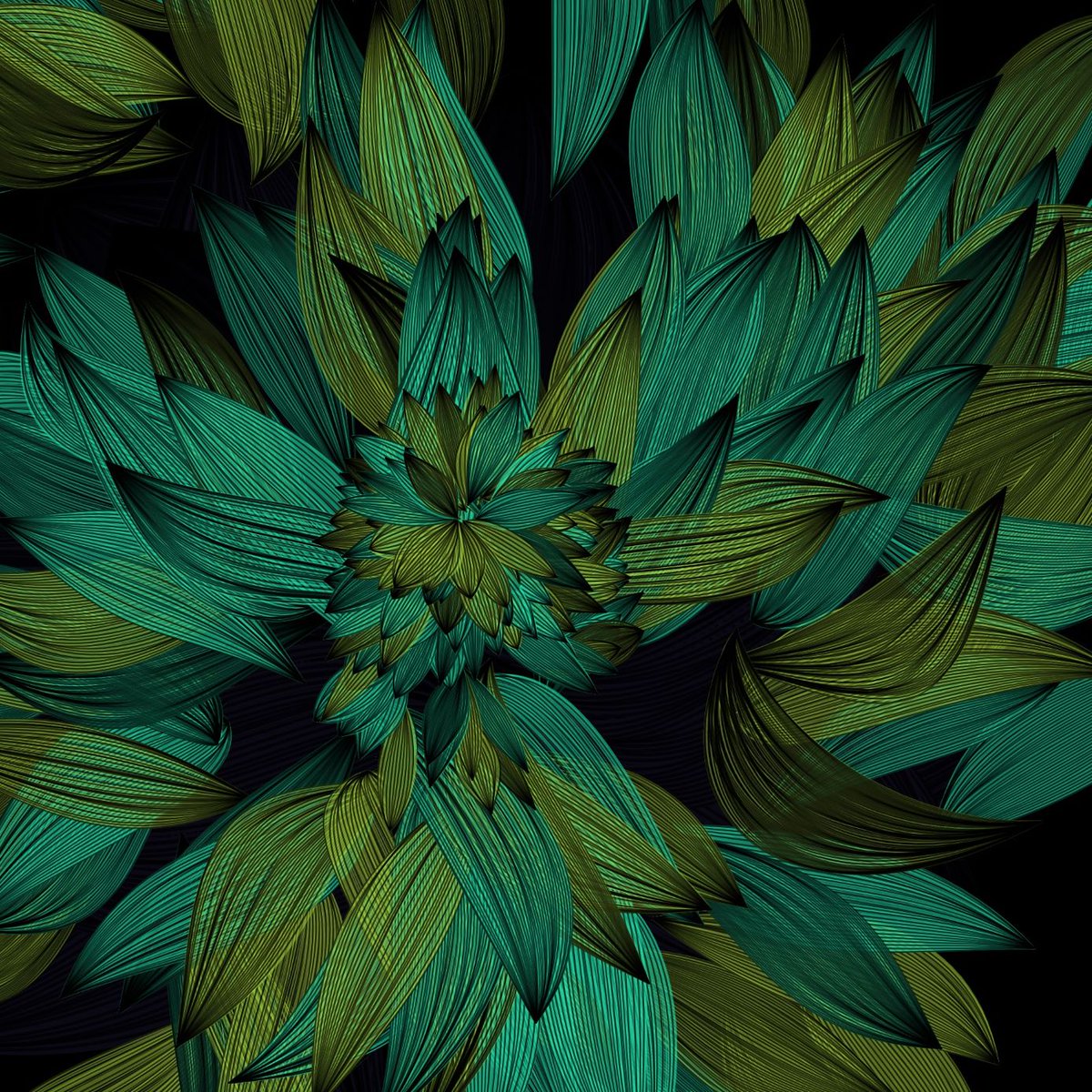 District468's tweet photo. The New Year brings fresh beginnings and hope for good things to come...

I just searched on "hope" in my tezos art collection... several works popped up.
This is a small selection:
- Hope nº 2   by @ZaH_nft 
- Petal in Hope of Light #27  by @ParallaxRender 
- Hope #28  by @fauxjebus 
- weep #131  by @heyjeres 

As @fauxjebus describes it "Ups, downs, and everything in between."

Happy 2024 my friends! ❤️🤘