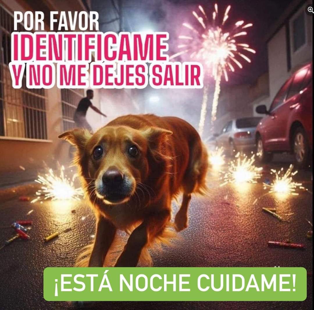 #CDMX #NoAlMaltratoAnimal #CelebraMexicoSinPirotecnia #NoALaPirotecnia #celebraconresponsabilidad #FiestasDecembrinas #adios2023