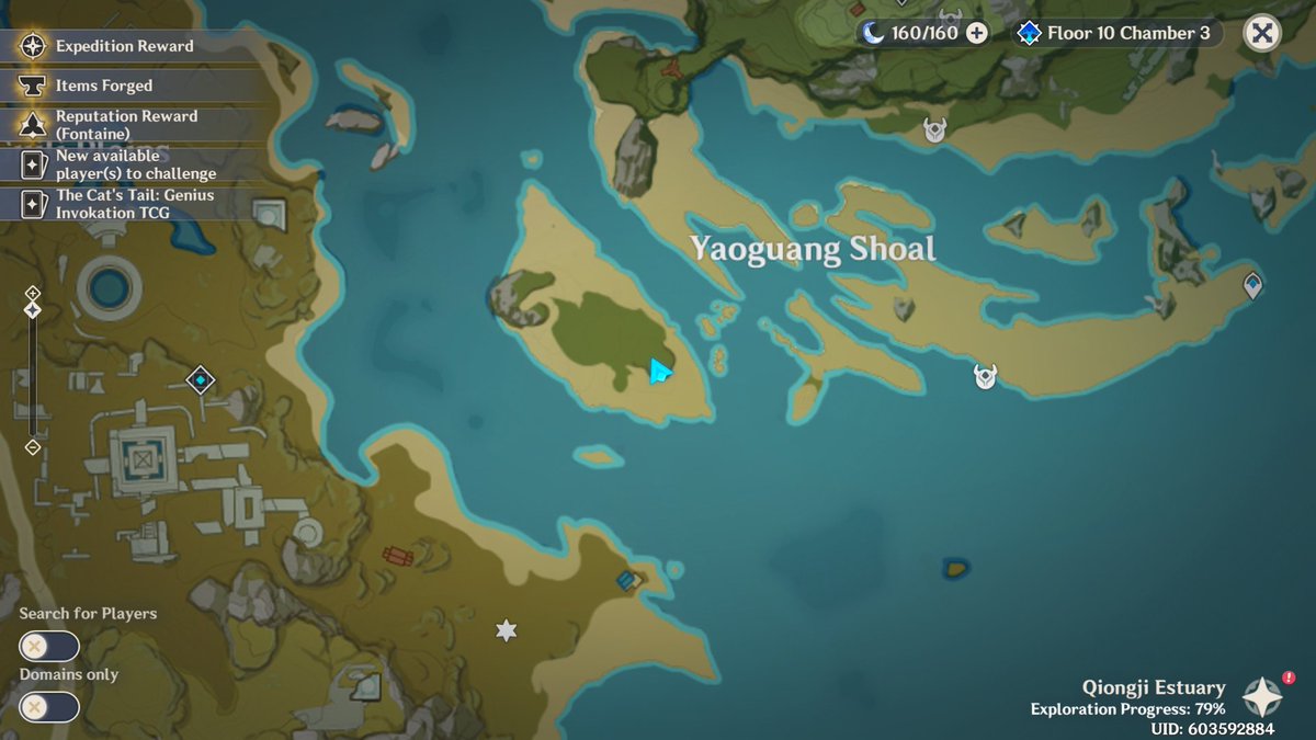columbinapilot's tweet photo. secret chest locations [a thread]

1.
if you light up the fire-->kill the pyro mage-->chest will appear https://t.co/oAjYlZoF3J