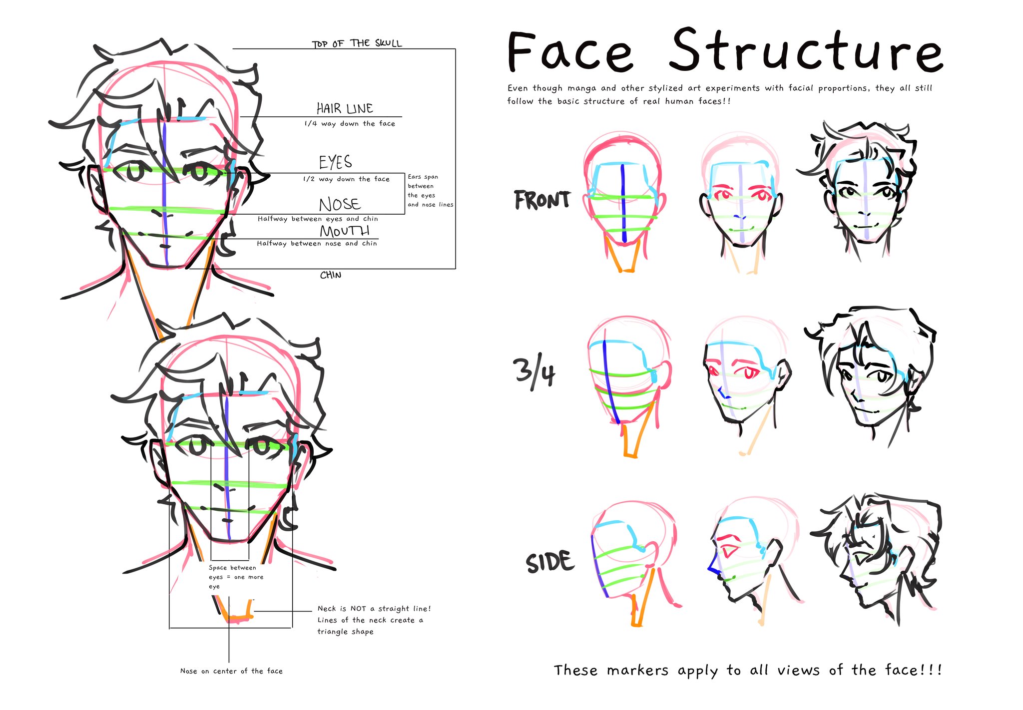 Anime Face Structure