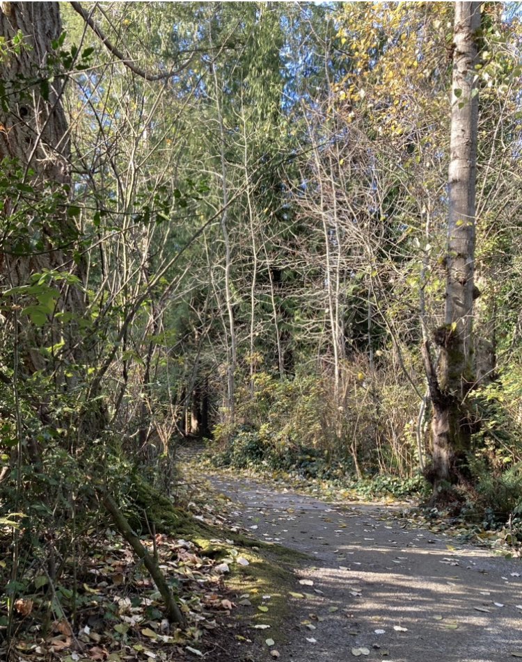 Still round the corner there may wait, 
A new road or a secret gate. - J. R. R. Tolkien

Wishing you all a wonderful 2024!