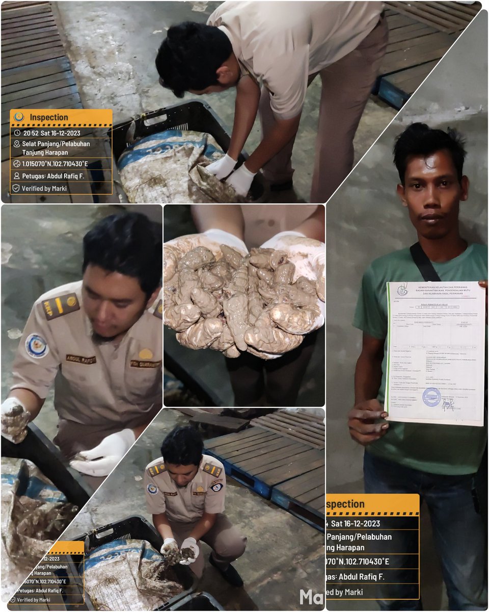 BP2MHKP Wilker Selatpanjang tweet media
