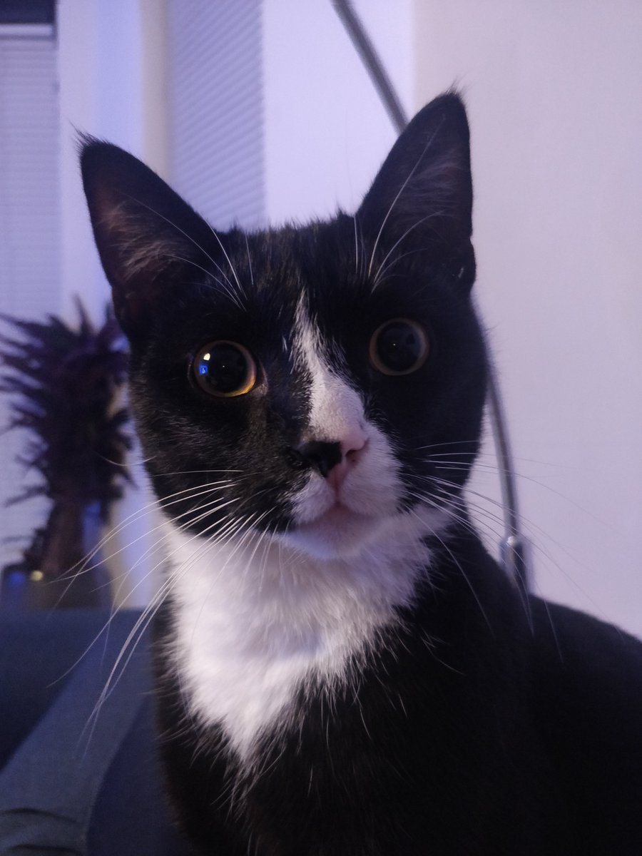 Marit de Roij tweet media