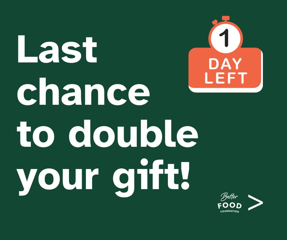 Today is the last day to help us reach our end-of-year #fundraising goal AND have your #gift doubled! This is a true #matchinggift: their #donation is contingent on matching donations, up to $5,000. Can we count on you? #Give here: betterfoodfoundation.org/donate. Thank you! 💚