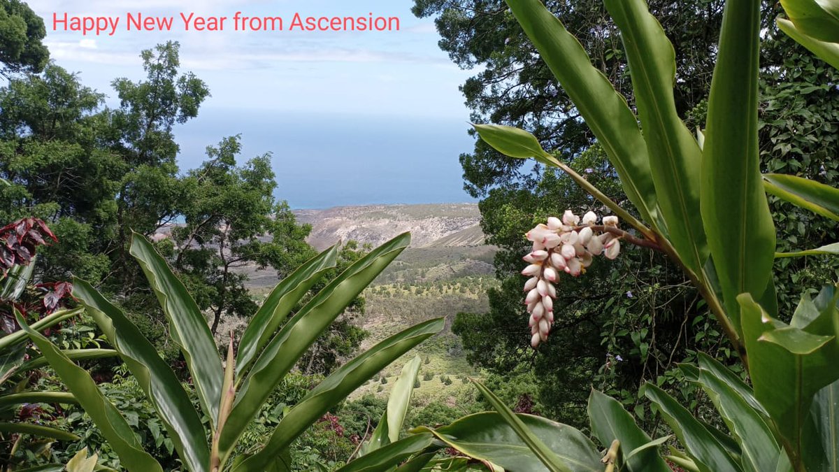 Ascension Island Government Recruitment tweet media